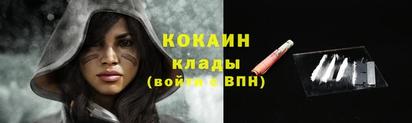 ГАЛЛЮЦИНОГЕННЫЕ ГРИБЫ Заводоуковск